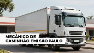 Mecnico de Caminho em So Paulo Shibata Supermercados Abre Vaga com Benefcios Dif