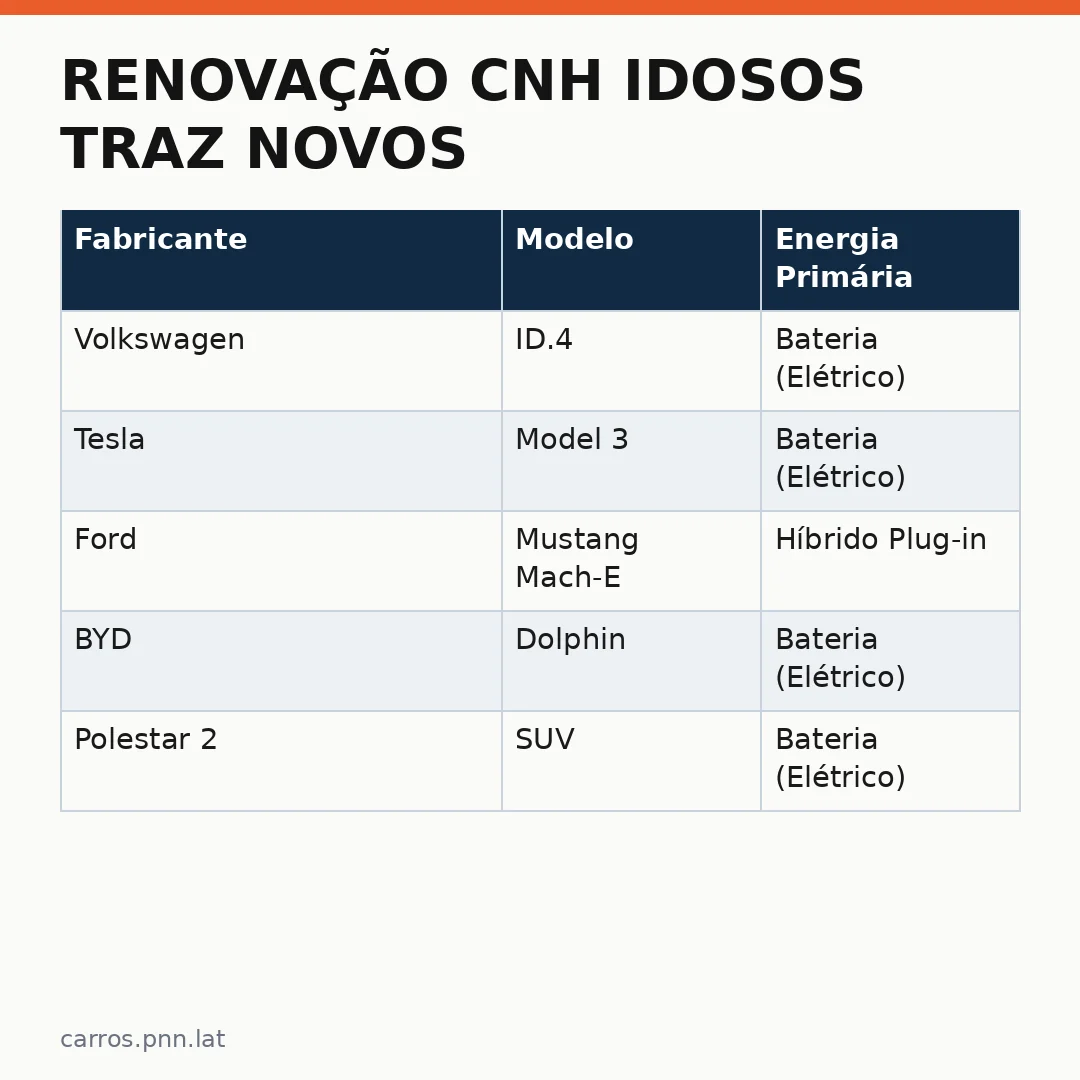 Infográfico - Renovação CNH Idosos Traz Novos Requisitos e Prazos Atualizados pelo DETRAN em 2024